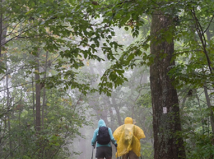Experts in the Field: Hike with a Hydrologist  image